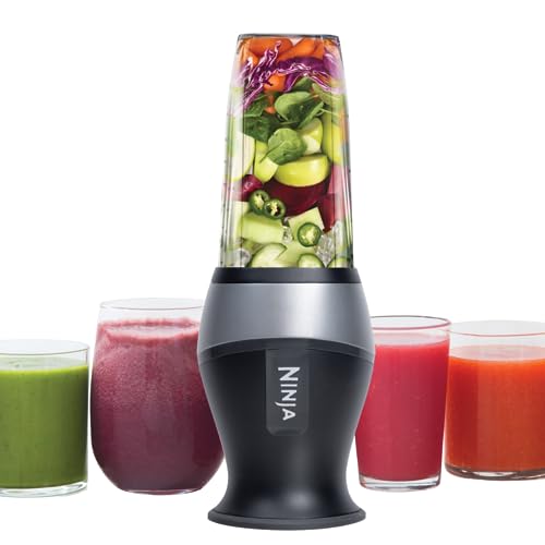 Top Rated Mini Blenders